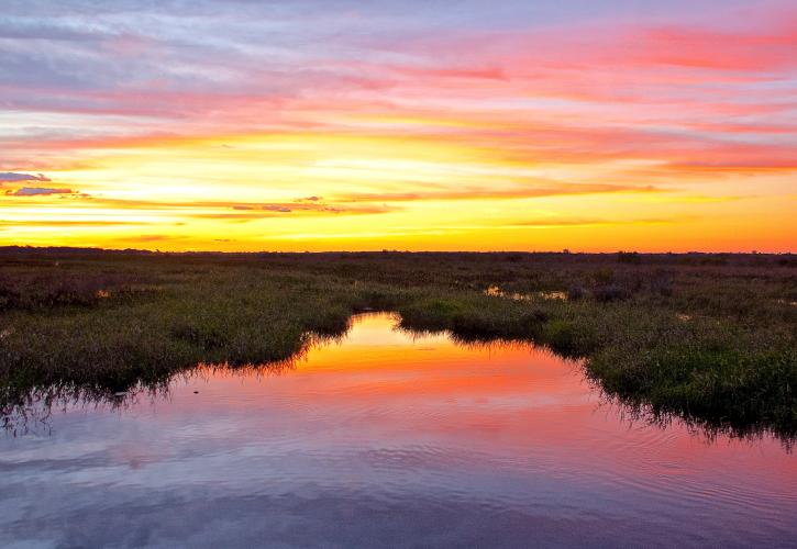 Sunset at Kissimmee Prairie